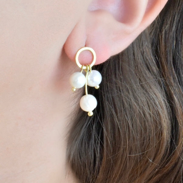 Arete perlitas