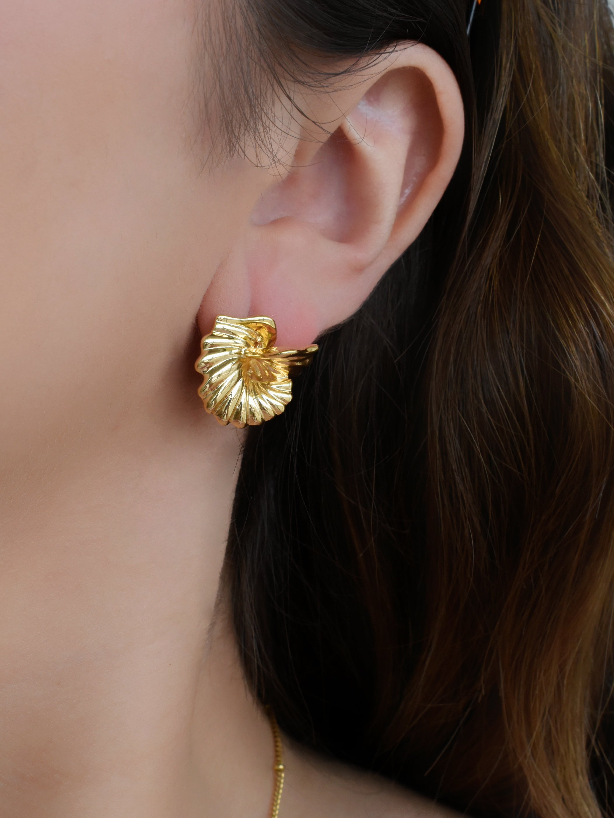 Aretes doble ala cruzada