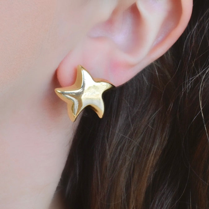 Aretes estrella de mar