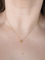 Gargantilla mini óvalo (dorado o plateado)