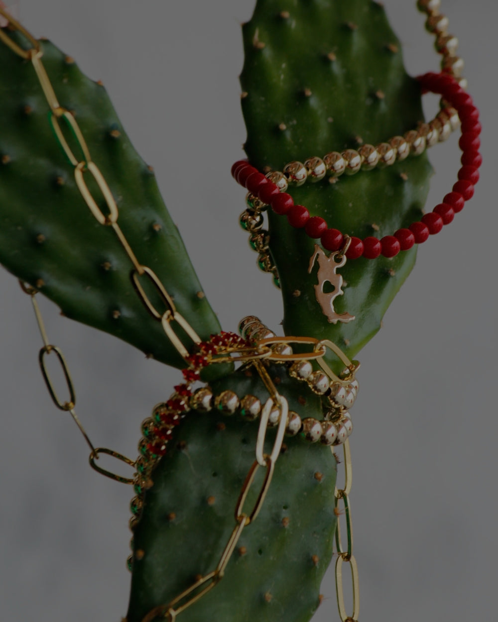 BANNER_CELULAR_NUEVO_19.jpg